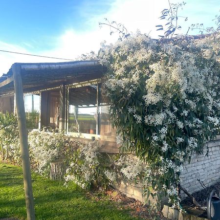 Bed and Breakfast Le P'Tit Nid De Gabriel Les Touches-de-Périgny Esterno foto